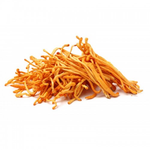 新鮮蟲草花 [約500g]