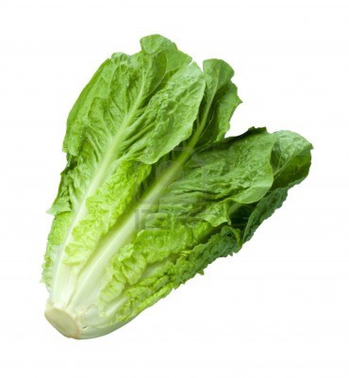 羅馬生菜(約500g)